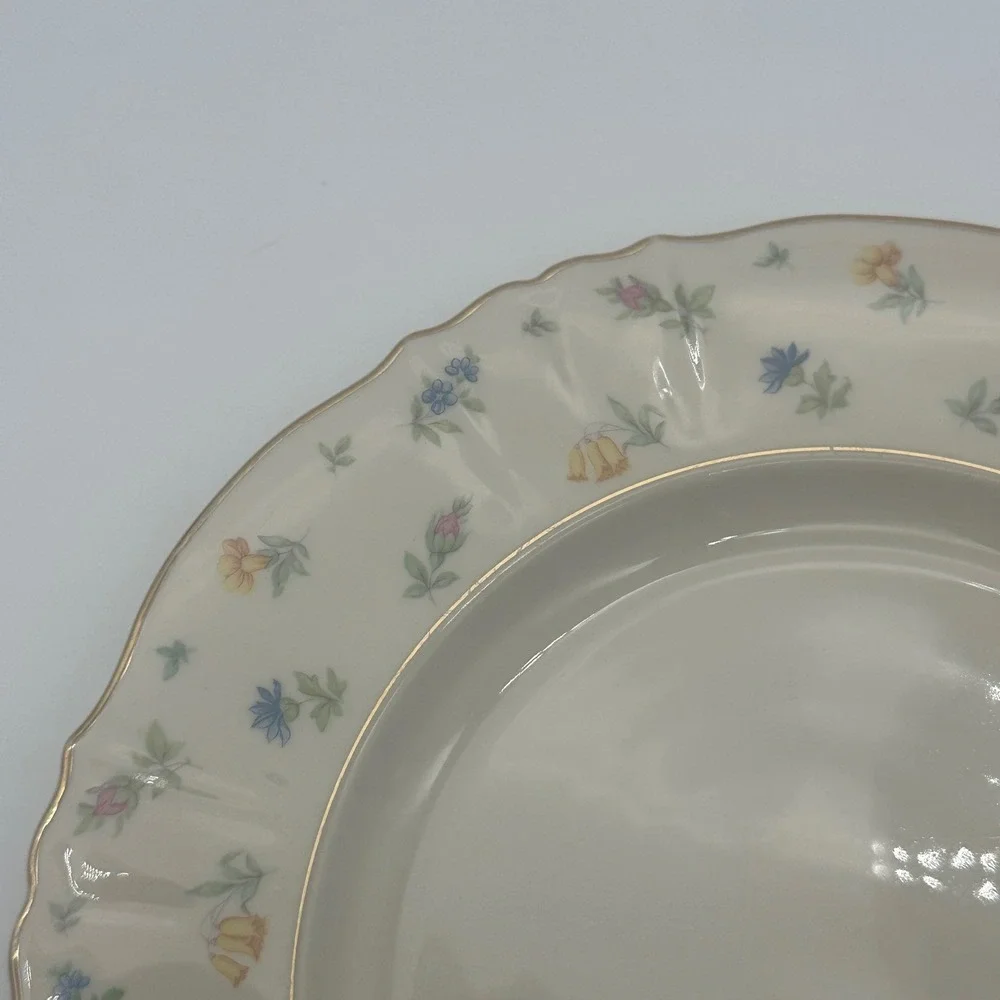 4 set Vintage Syracuse China Suzanne Federal Shape Dinner Plates 10in